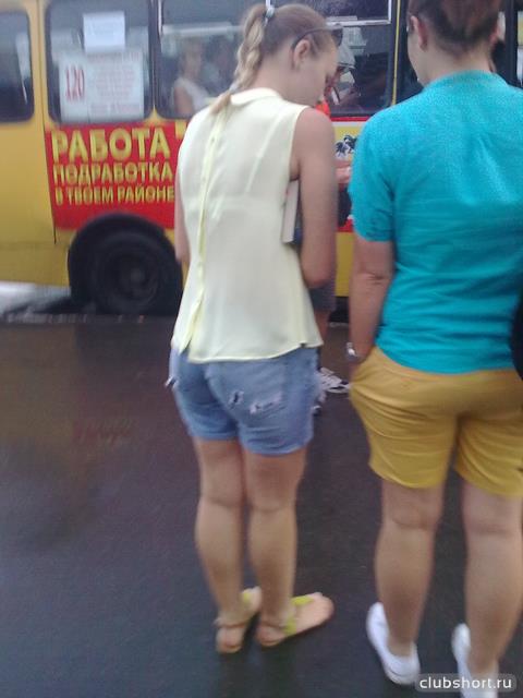 17921_bus_sop2146.jpg